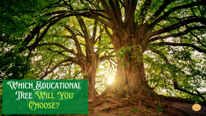 Which Educational Tree Will You Choose?